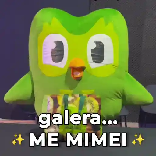Memes Duolingo Br