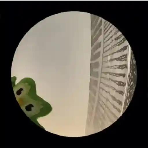 Memes Duolingo Br