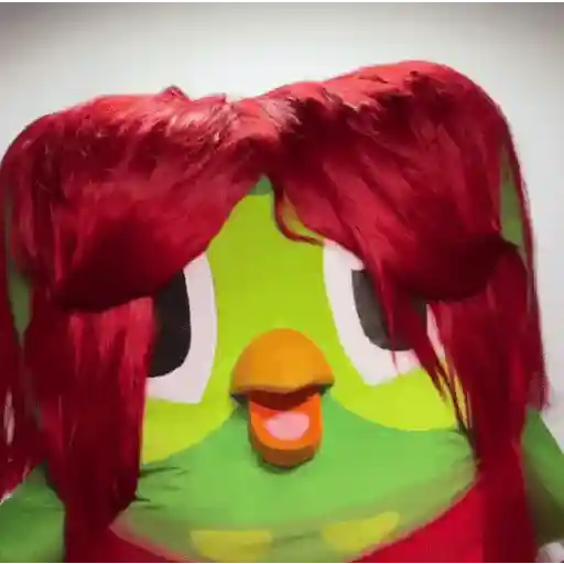 Memes Duolingo Br