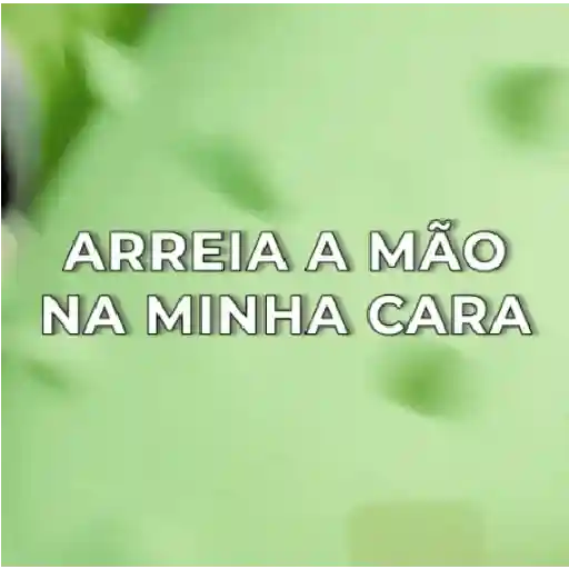 Memes Duolingo Br
