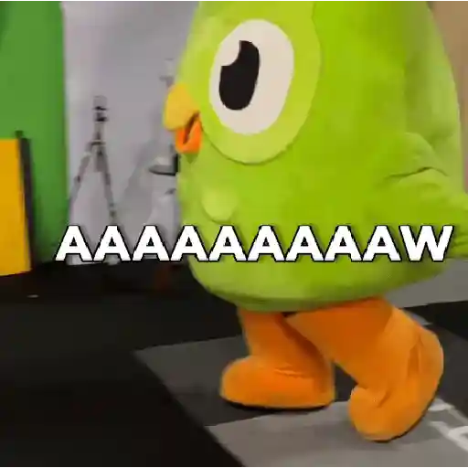 Memes Duolingo Br