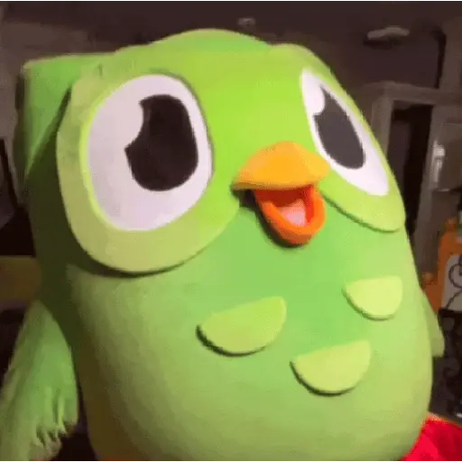 Memes Duolingo Br