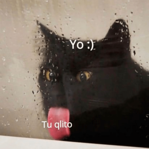Michis Para Contestar 🐈‍⬛ preview