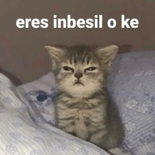 Michis Para Contestar 🐈‍⬛ preview