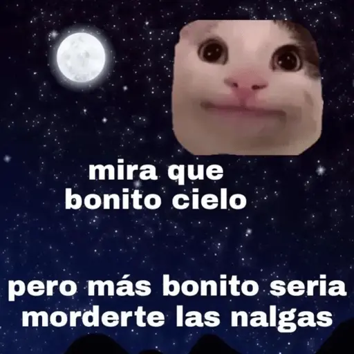 Michis Para Contestar 🐈‍⬛