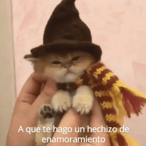 Michis Para Contestar 🐈‍⬛ preview