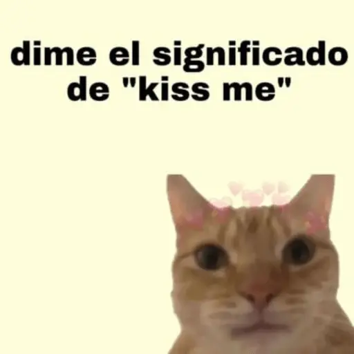 Michis Para Contestar 🐈‍⬛