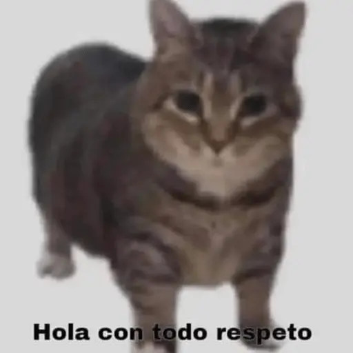 Michis Para Contestar 🐈‍⬛