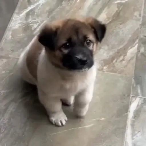 niño bailando
