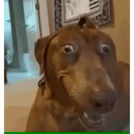 niño bailando