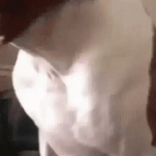 niño bailando