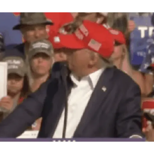 DONALD TRUMP 