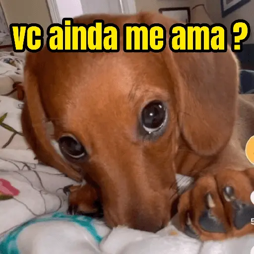 figurinhas de amor ❤️🤣