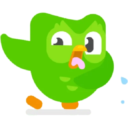 Duolingo
