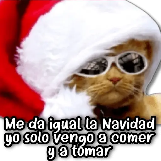 Memes Navideños #② 🎄