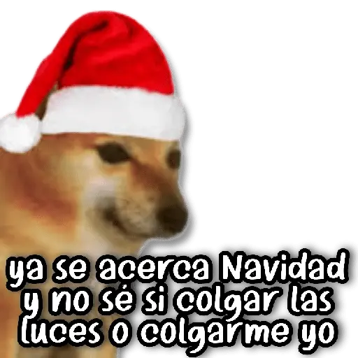 Memes Navideños #② 🎄