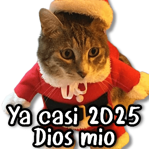 Memes Navideños #② 🎄 preview