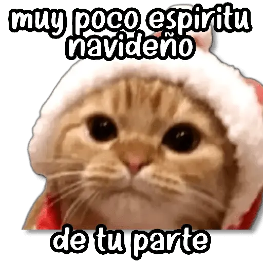 Memes Navideños #② 🎄
