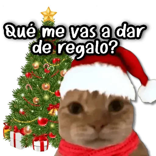 Memes Navideños #② 🎄