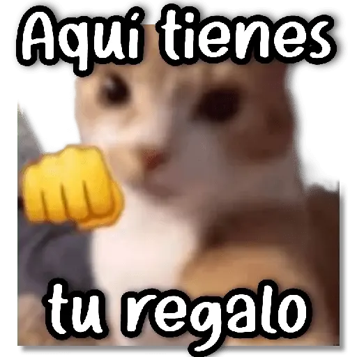 Memes Navideños #② 🎄