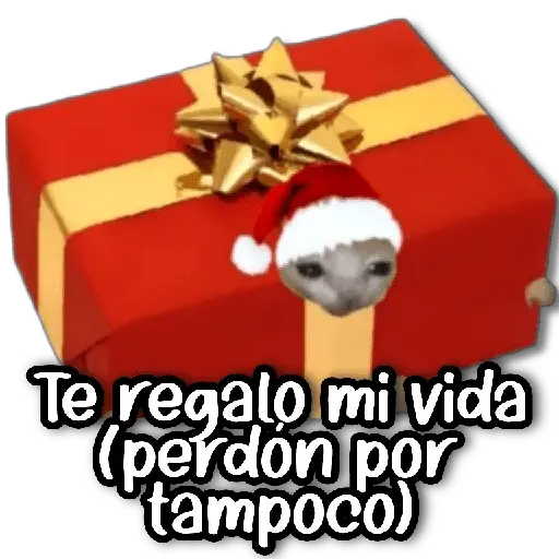 Memes Navideños #② 🎄
