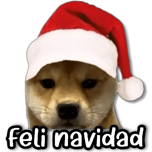 Memes Navideños #② 🎄