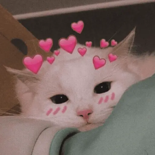 Me enamoré con corazoncitos💕✨