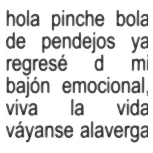 Frases Salvatore pal grupo🫂