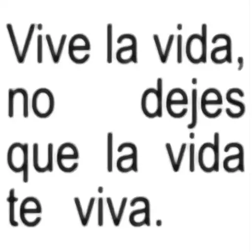 Frases Salvatore pal grupo🫂