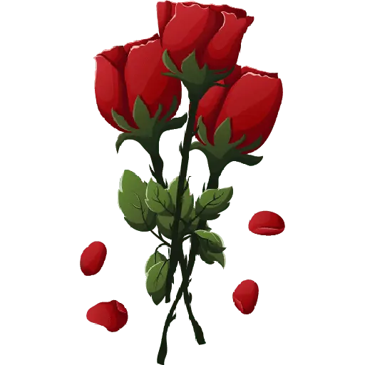 Amor ❤️ Amistad San Valentín