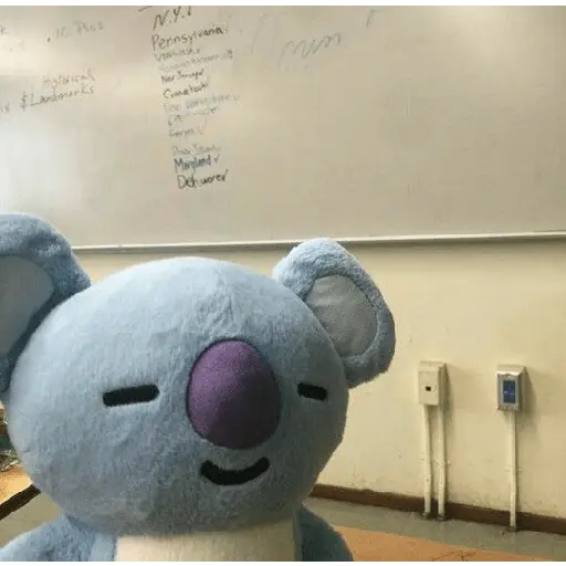 bt21
