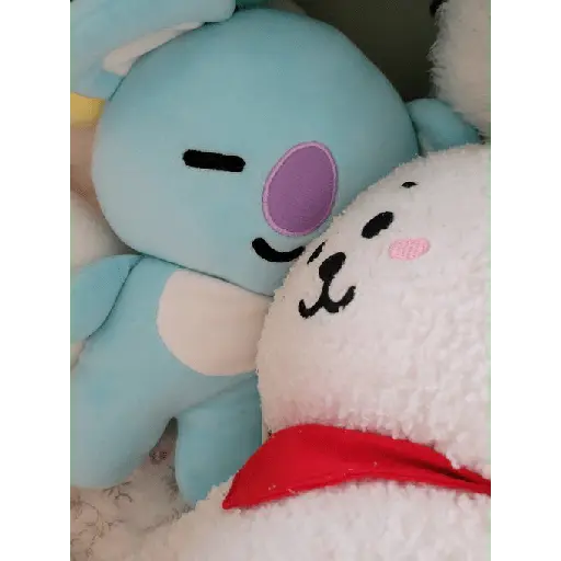 bt21