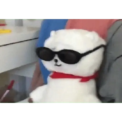 bt21