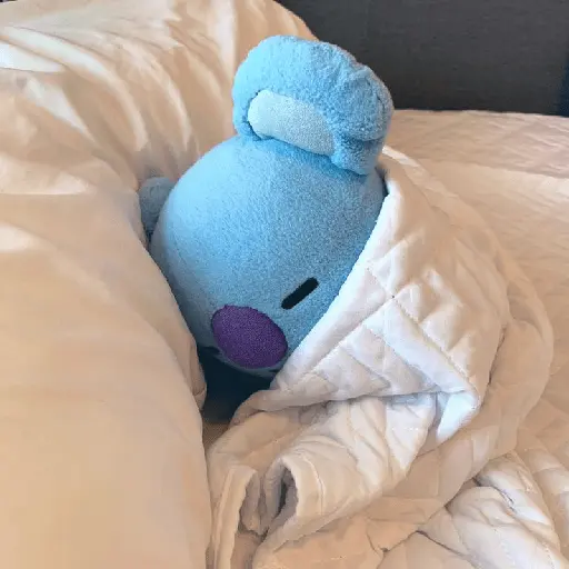 bt21