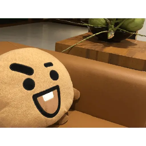 bt21