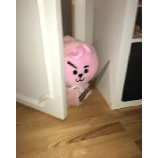 bt21
