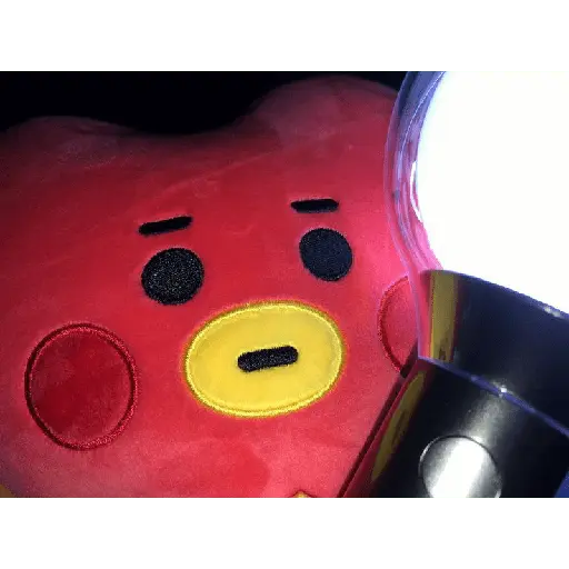 bt21