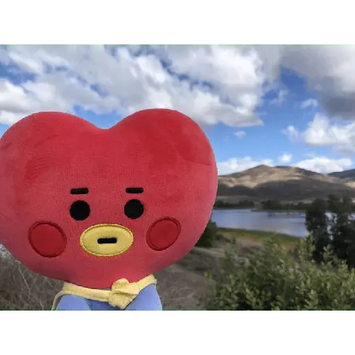 bt21