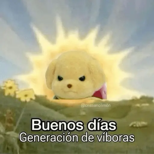 🤣•🤪Pal Grupo🤪•🤣