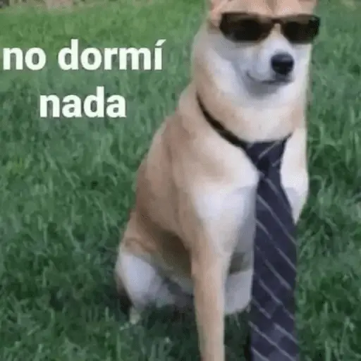 Memes Pal Grupo🤡
