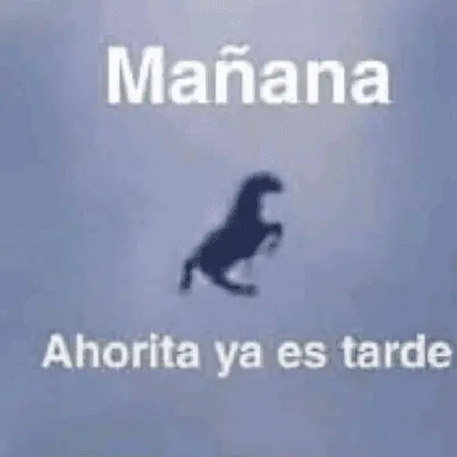 Memes Pal Grupo🤡