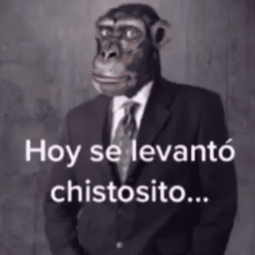 Memes Pal Grupo🤡 preview