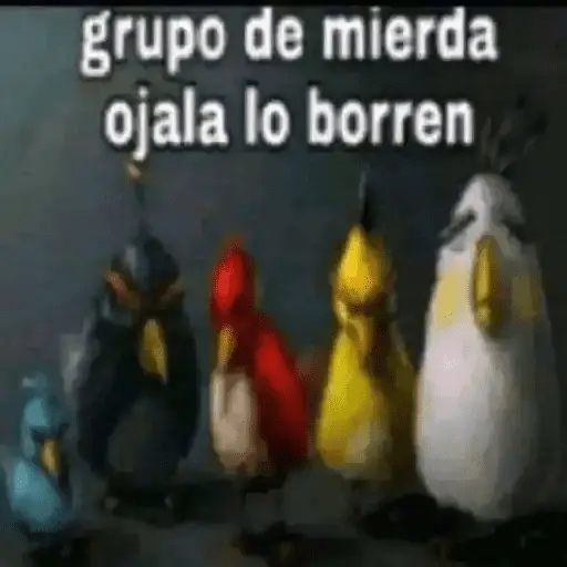 Memes Pal Grupo🤡