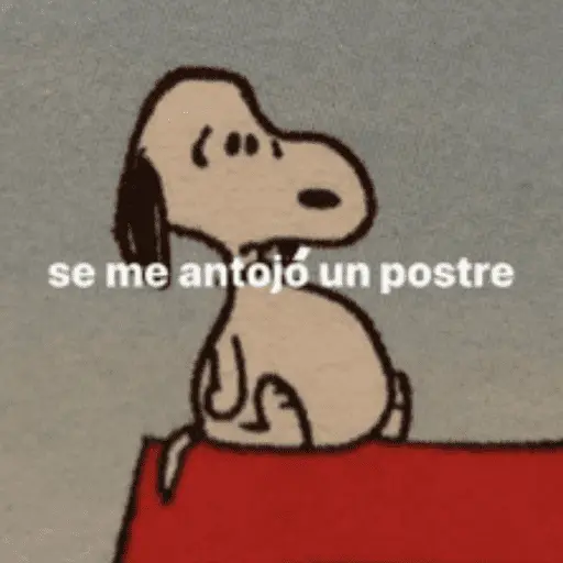 Stickers pal grupo mi so😎