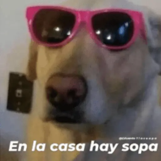 Stickers pal grupo mi so😎