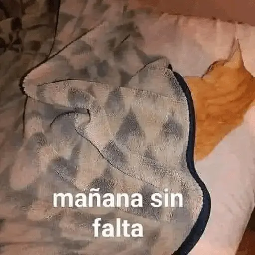 A mimir ✨