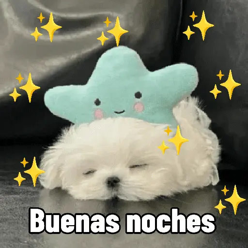 A mimir ✨