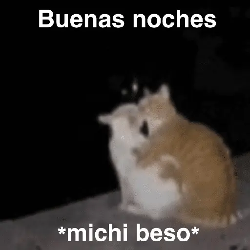 A mimir ✨