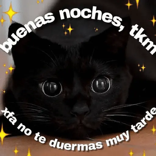 A mimir ✨