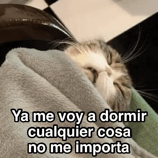 A mimir ✨